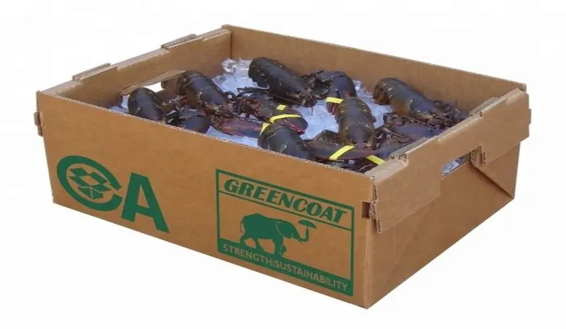 thùng carton chống thấm là gì, thùng carton chống thấm, hộp carton chống thấm là gì, hộp carton chống thấm