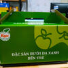 Thùng carton đựng bưởi da xanh xuất khẩu