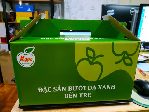 Thùng carton đựng bưởi da xanh xuất khẩu