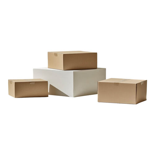 Hộp carton 30x30x10cm nắp đối 3 lớp (4)