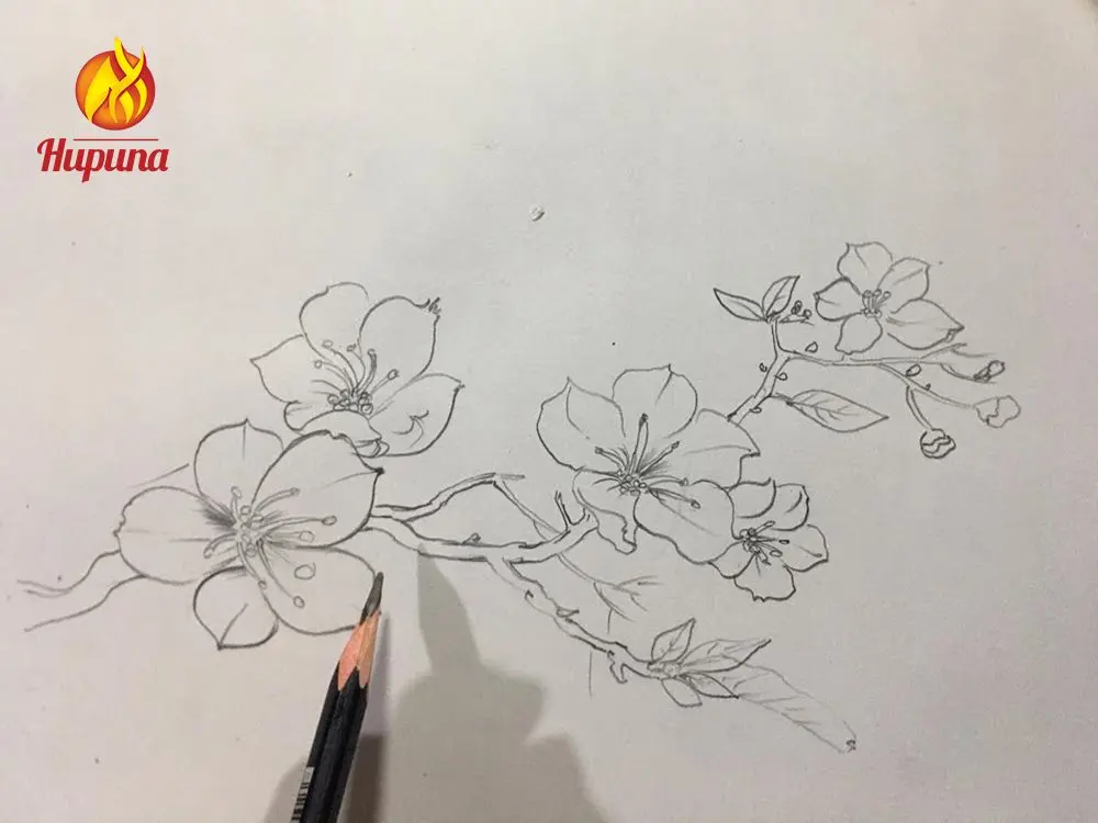 tranh vẽ ngày Tết, vẽ tranh ngày Tết, treo tranh ngày Tết