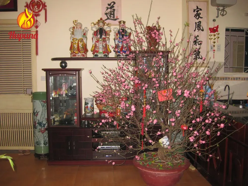Dịch vụ trang trí bàn thờ ngày Tết đầy đủ 
