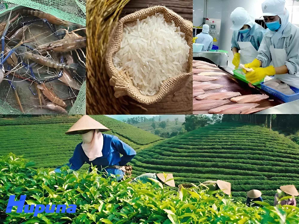 thực trạng nông sản xuất khẩu việt