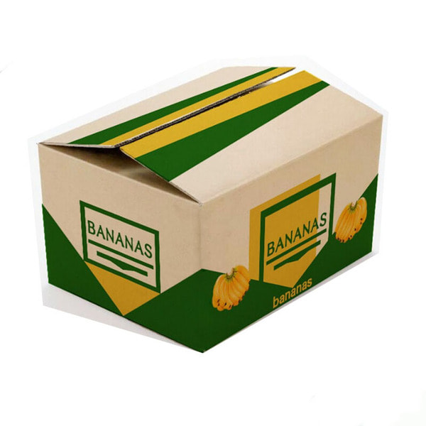 Hướng dẫn chọn thùng carton đựng 20kg đúng nhu cầu
