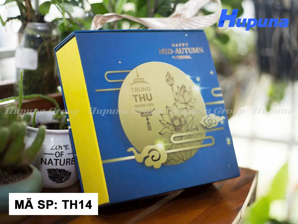 hop-dung-banh-trung-thu-th14-12