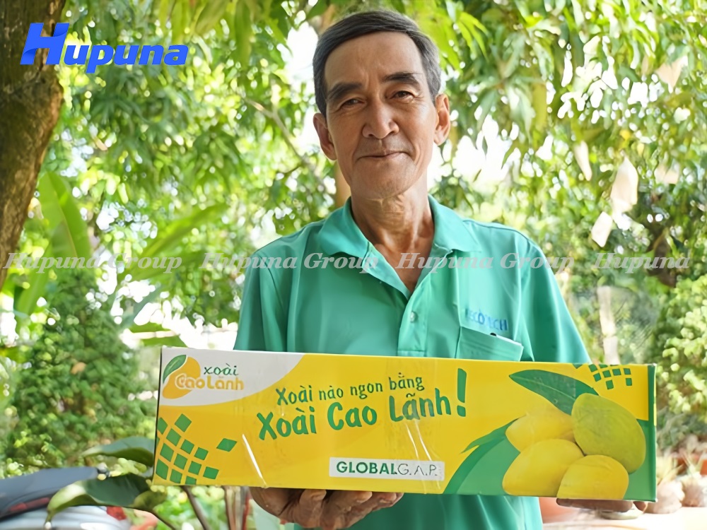 xuất khẩu xoài sang Trung Quốc