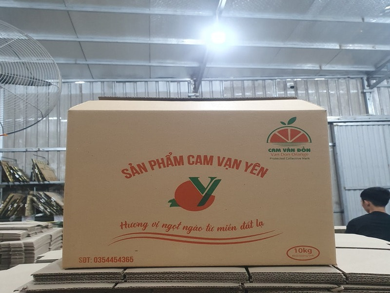 Thùng carton in flexo đựng cam Vạn Yên