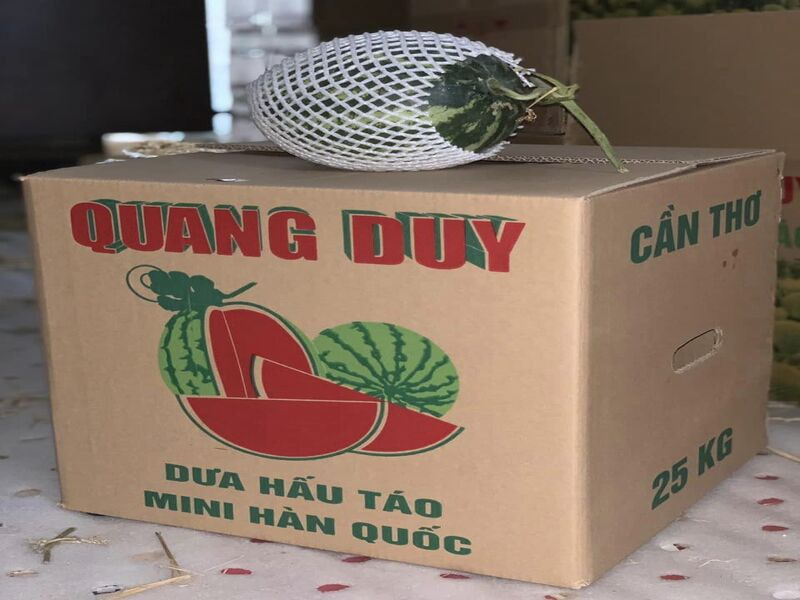 Thùng carton in flexo đựng dưa hấu