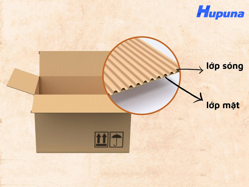 Hộp carton sóng đang được sử dụng phổ biến