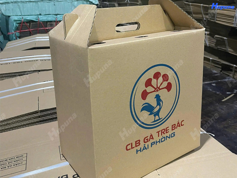 Hộp giấy CLB gà tre Bắc Hải Phòng