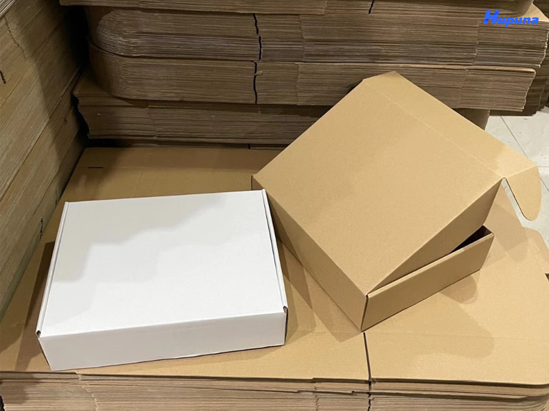 Hộp carton sóng không in đang được sử dụng phổ biến