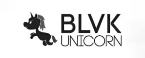 brand-dt-blvk-unicorn-1000×400-1-300×120-1