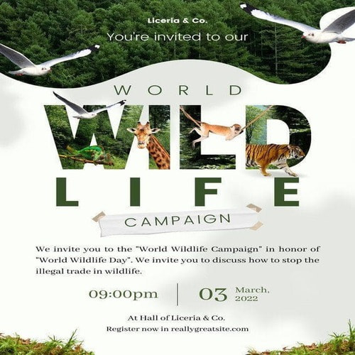 In poster ảnh 5