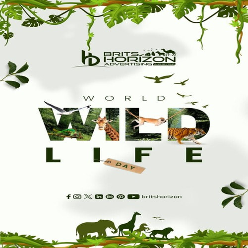 In poster ảnh 6