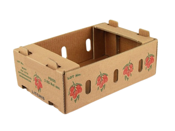 hop-carton-5-lop-invietnhat-3281-768×576-1-removebg-preview