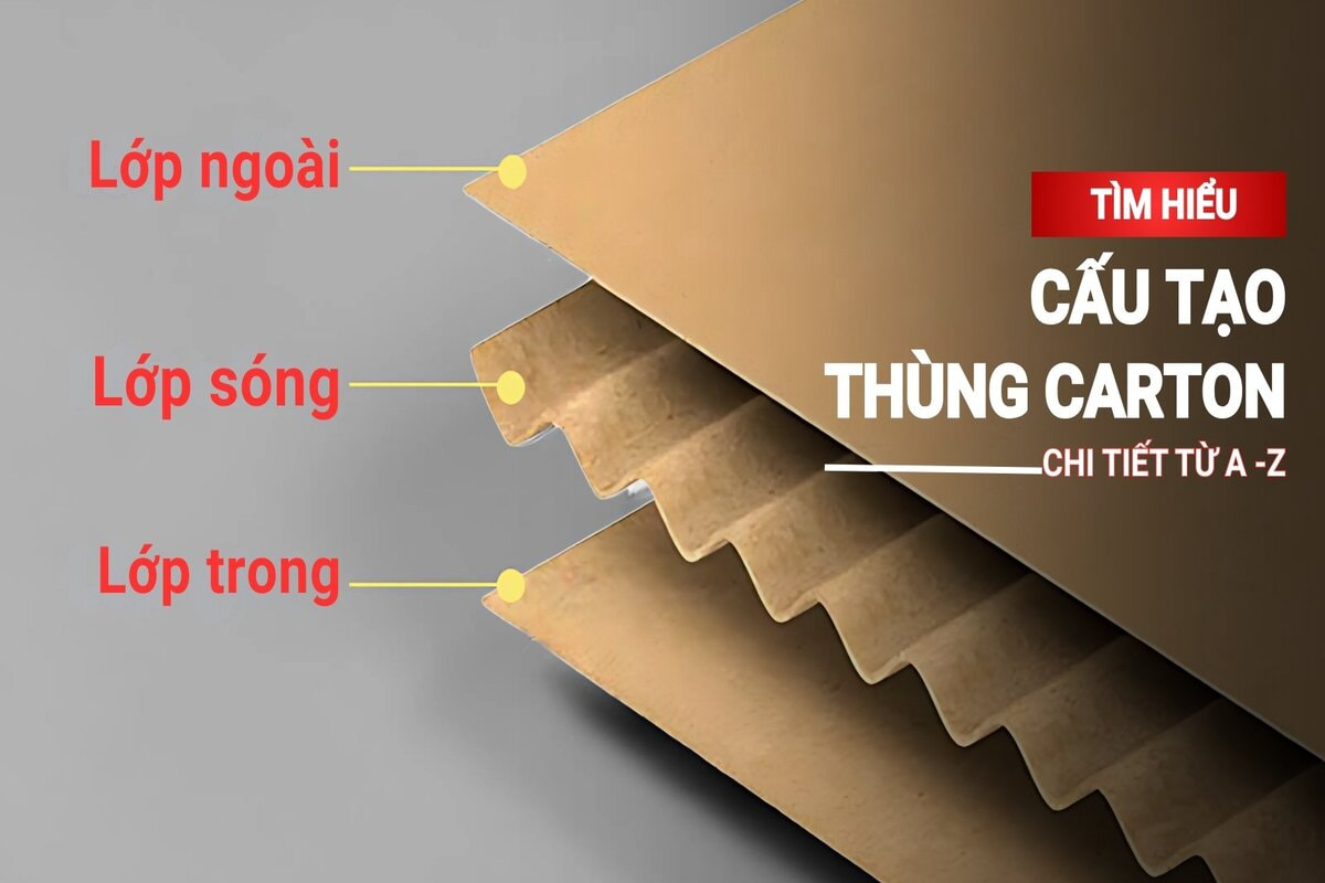 Tìm hiểu về cấu tạo thùng carton