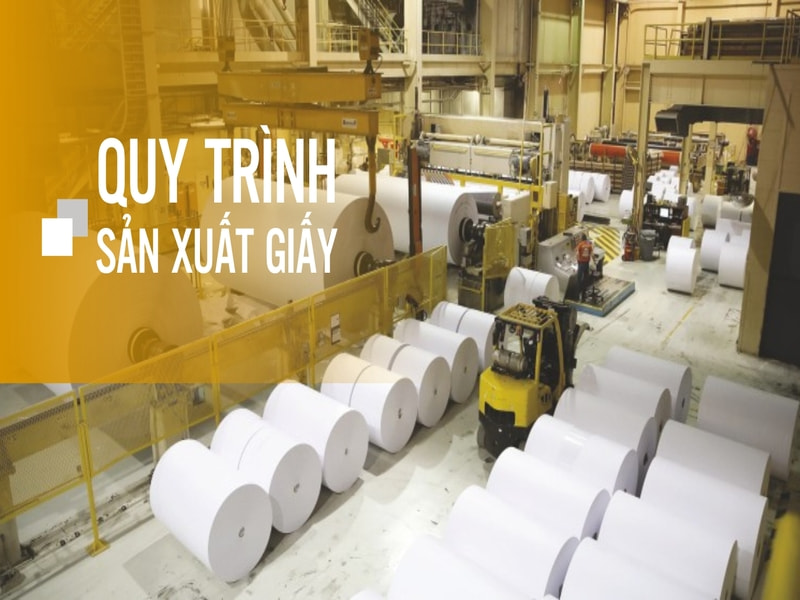 Những nguyên liệu dùng để sản xuất bao bì giấy