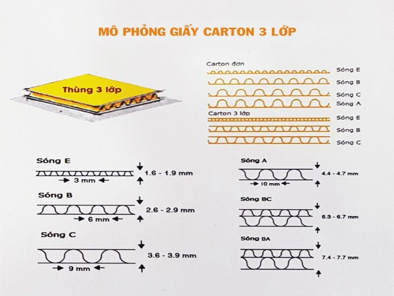 Ứng dụng của carton sóng F
