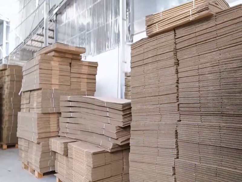 Cách Hupuna kiểm soát sai số trong sản xuất hộp carton