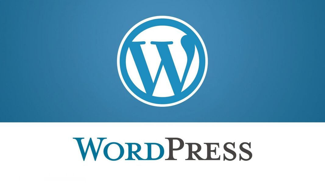 Hupuna tuyển dụng Lập trình viên WordPress (Fulltime)