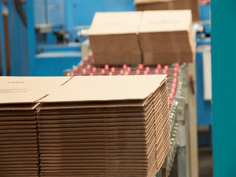 Khi nào sai số sản xuất hộp carton được coi là "Không chấp nhận"?