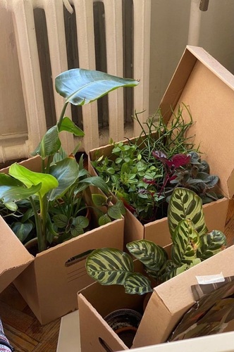 Sản xuất hộp carton