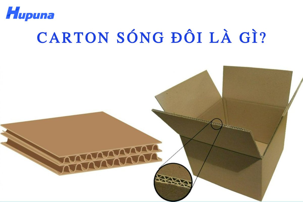 Carton sóng đôi là gì