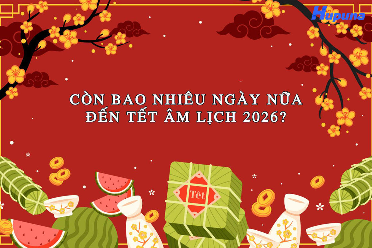 Còn bao nhiêu ngày nữa đến Tết Âm Lịch 2026
