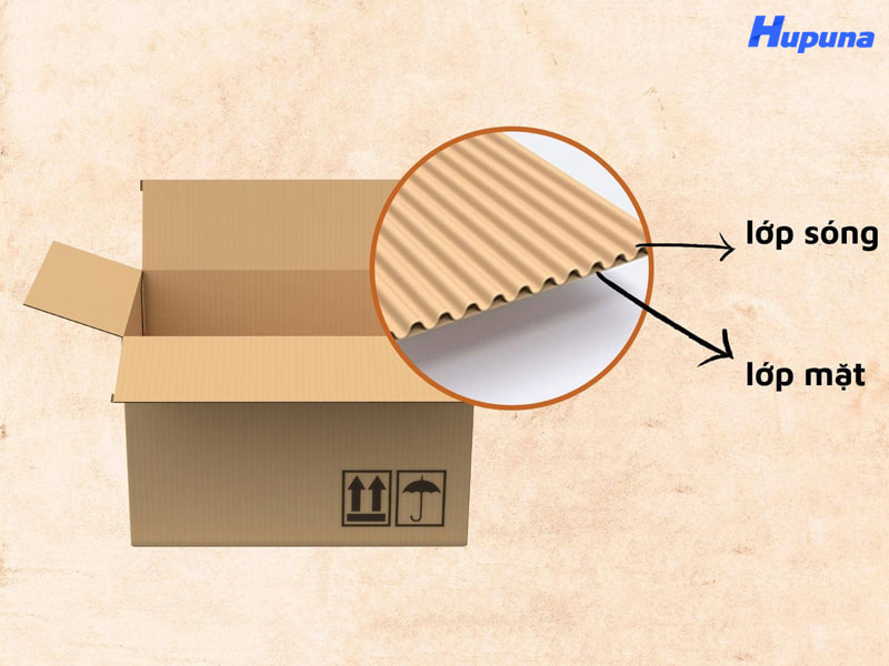 Hộp carton sóng thông dụng là gì?