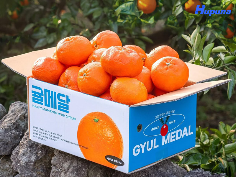 Loại giấy dùng để sản xuất thùng carton in Offset