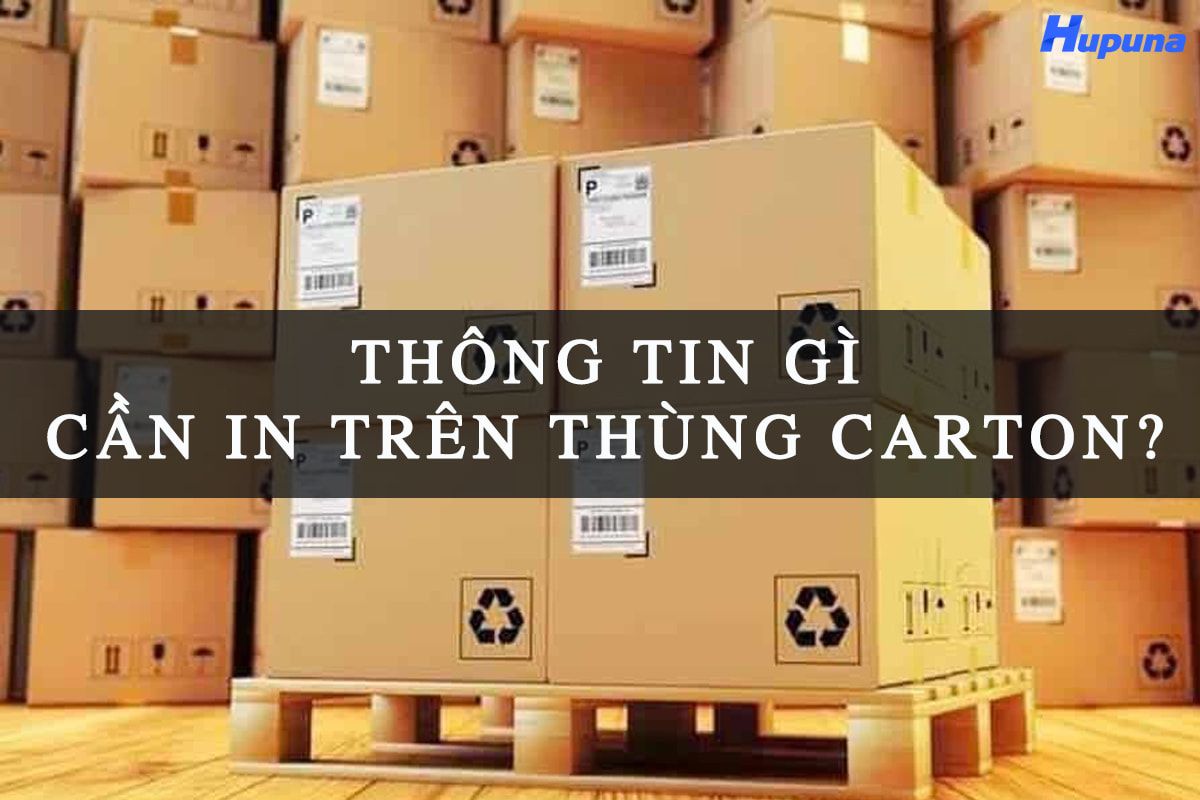 Thông tin gì cần in trên thùng carton