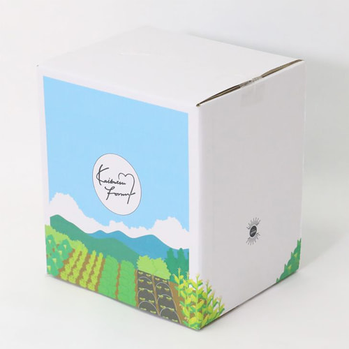 Thùng carton in Offset 4