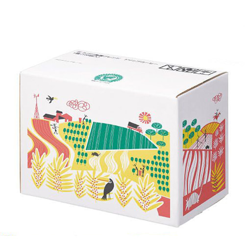 Thùng carton in Offset 5