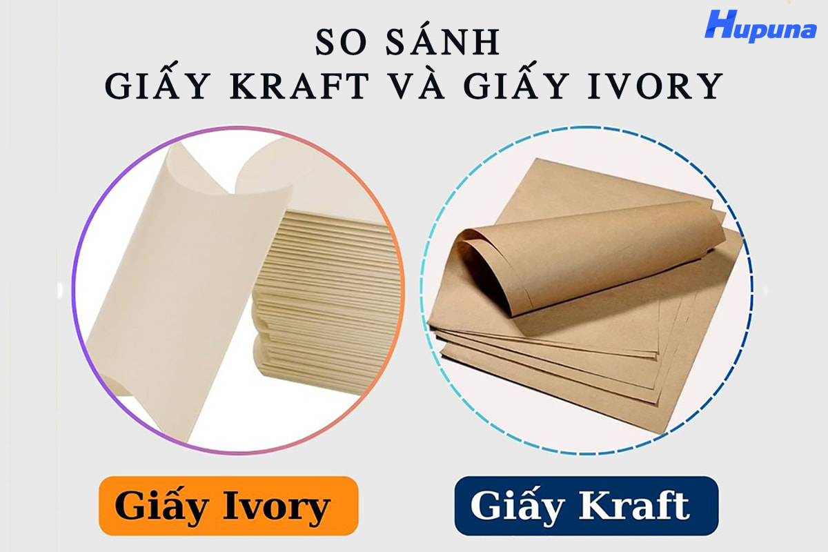 Giấy Kraft và giấy Ivory