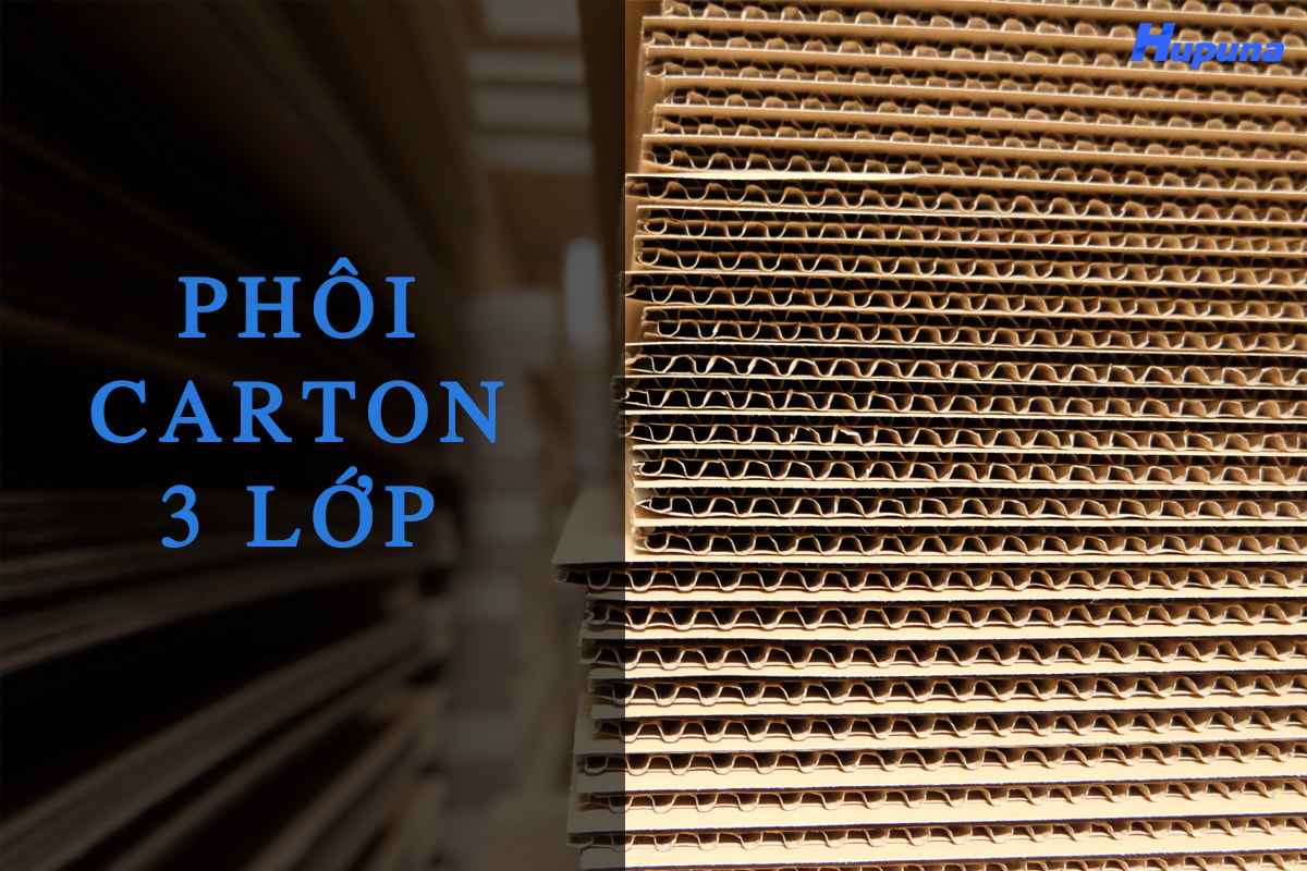 Phôi carton 3 lớp