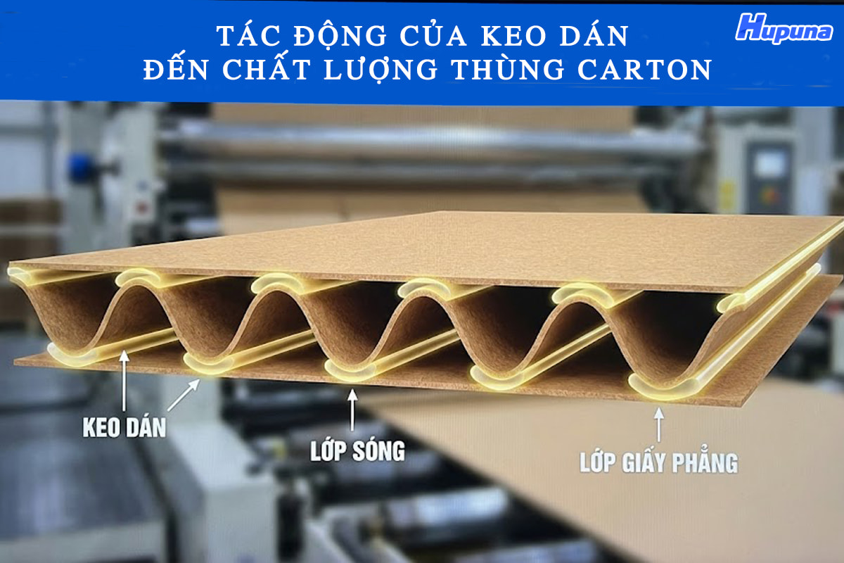 Tác động của keo dán đến chất lượng của thùng carton
