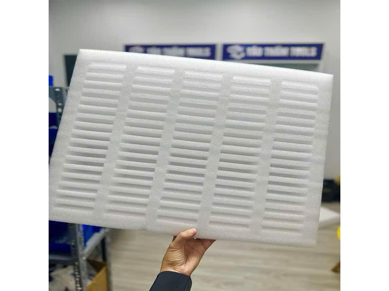 Các loại khay bán sẵn phổ biến tại Hupuna