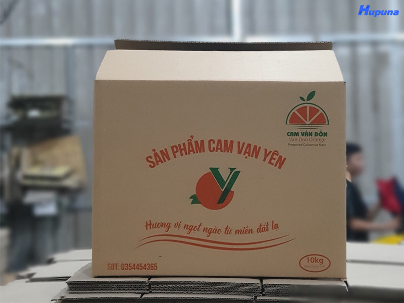 Địa chỉ sản xuất hộp carton cho trái cây xuất khẩu uy tín, giá tốt