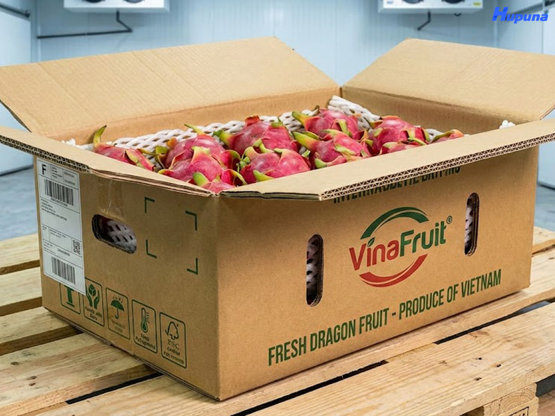 Hộp carton đóng vai trò quan trọng đến lô hàng xuất