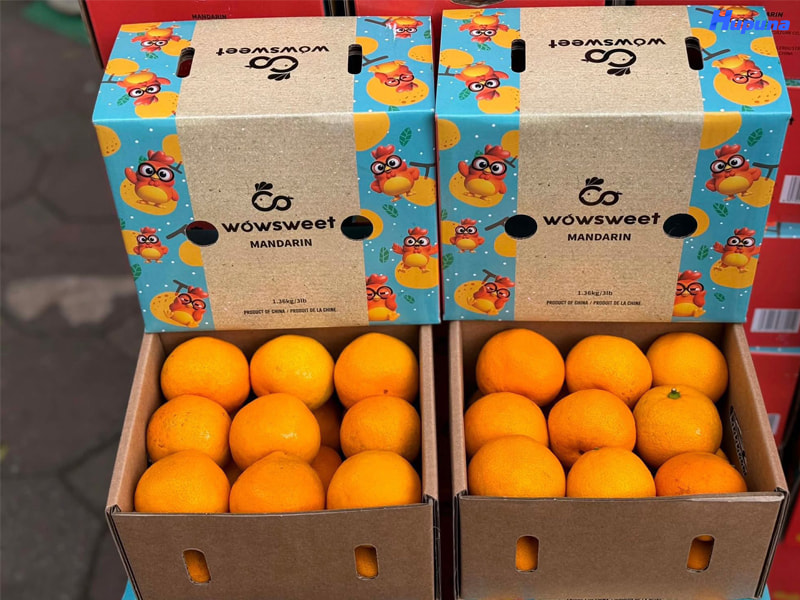 Hộp giấy carton sóng (3 lớp, 5 lớp)