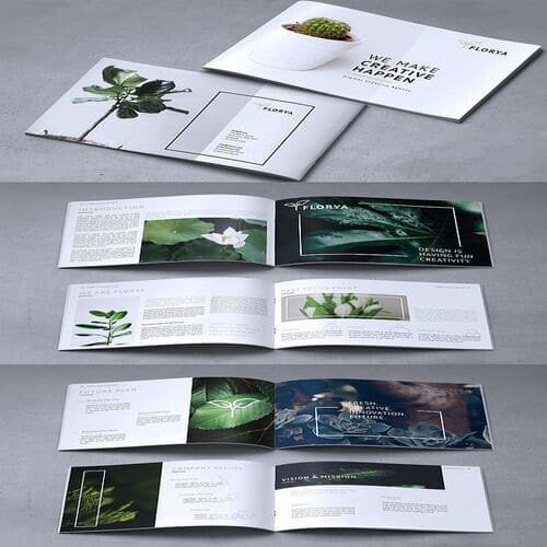 In catalogue ảnh 9