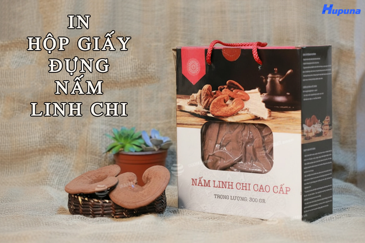 In hộp giấy đựng nấm linh chi