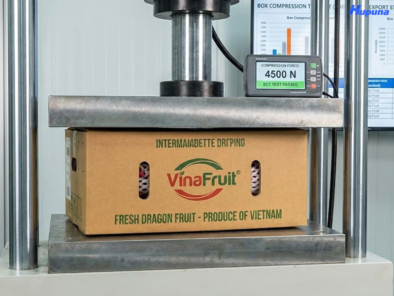 Khả năng chịu lực nén của hộp carton cho trái cây xuất khẩu