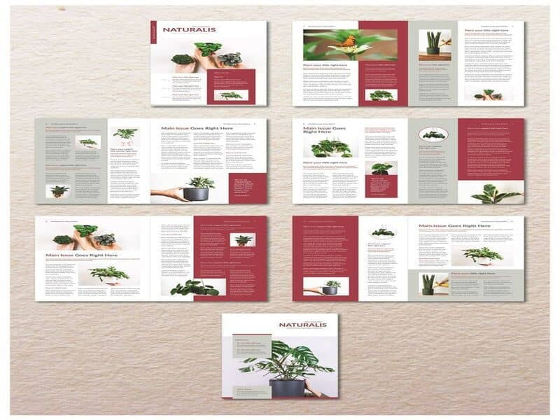 Kích thước in catalogue thông dụng