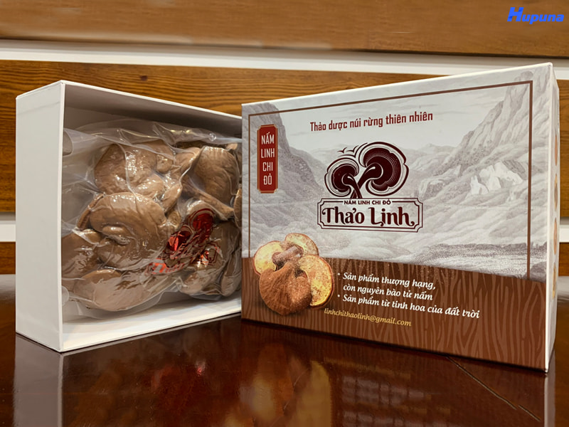 Kinh nghiệm “xương máu” khi in hộp giấy đựng nấm linh chi
