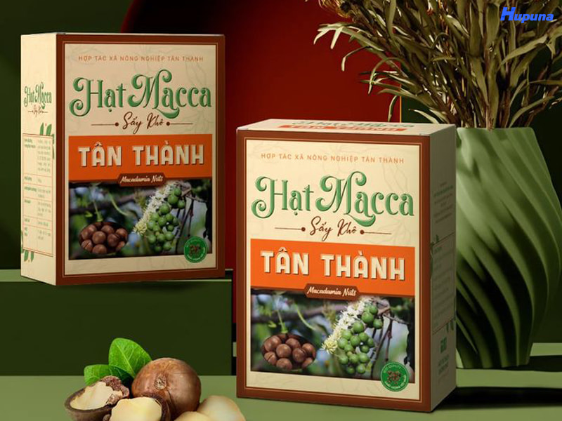 Nên đầu tư in hộp giấy đựng macca