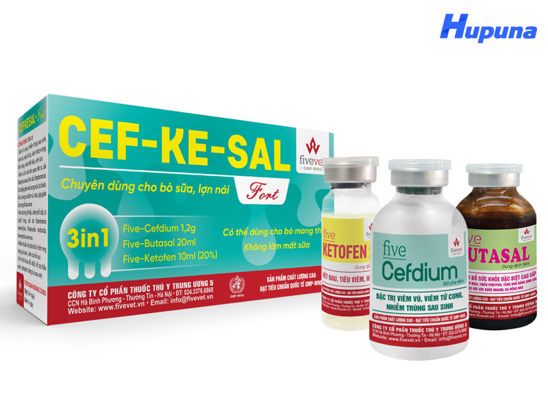 Những thông tin bắt buộc in trên hộp giấy đựng thuốc thú y