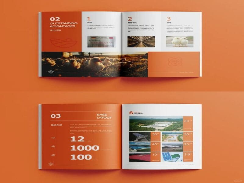 Quy trình in catalogue chuyên nghiệp tại Hupuna Group