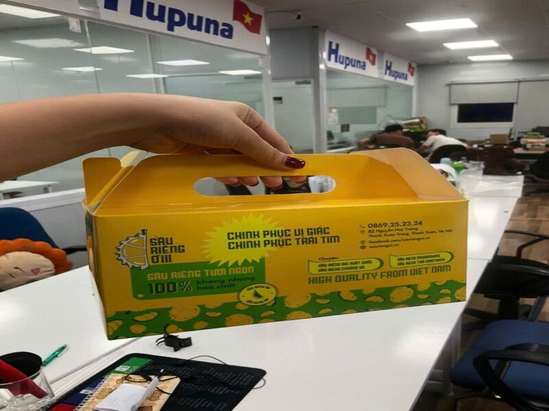 Hộp có quai xách đựng sầu riêng do Hupuna sản xuất