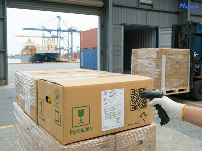 Bao bì xuất khẩu cần đáp ứng các tiêu chuẩn quốc tế